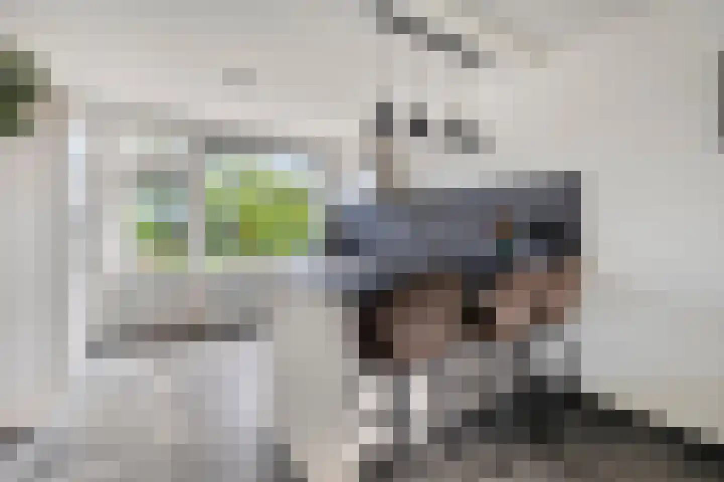 Wittemstraat 14 Wouw thumbnail 11