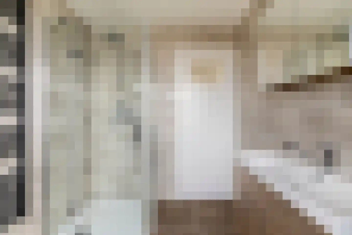 Wittemstraat 14 Wouw thumbnail 24