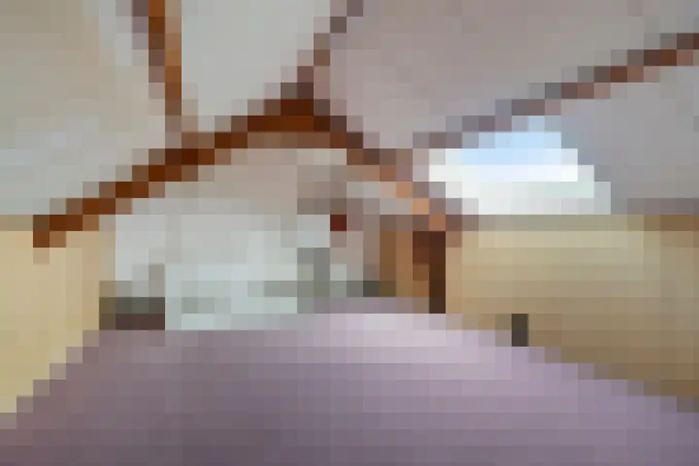 Wittemstraat 14 Wouw thumbnail 25