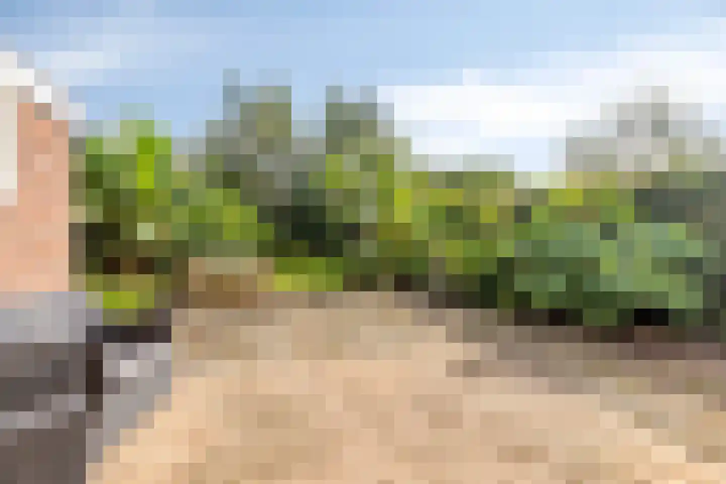Wittemstraat 14 Wouw thumbnail 28