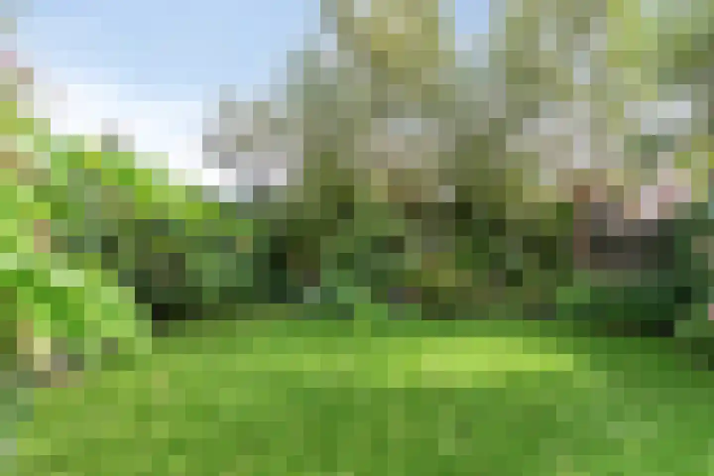 Wittemstraat 14 Wouw thumbnail 29