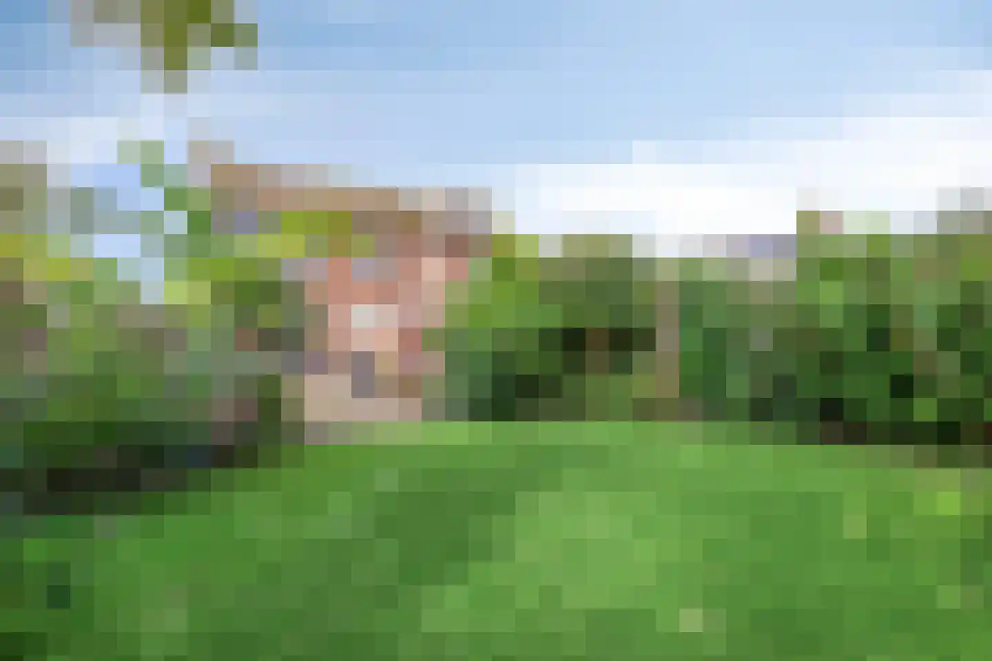 Wittemstraat 14 Wouw thumbnail 30