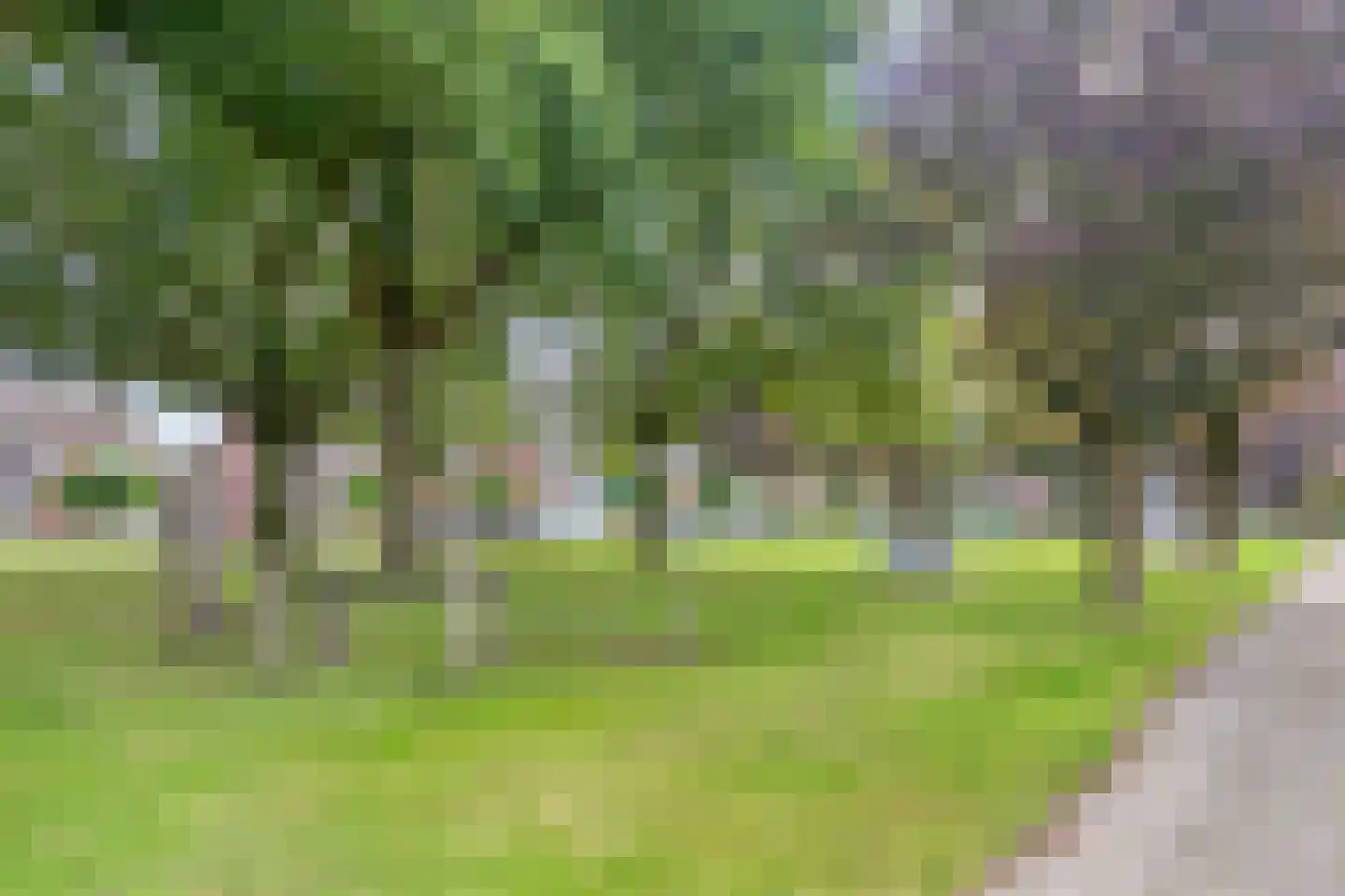 Wittemstraat 14 Wouw thumbnail 33