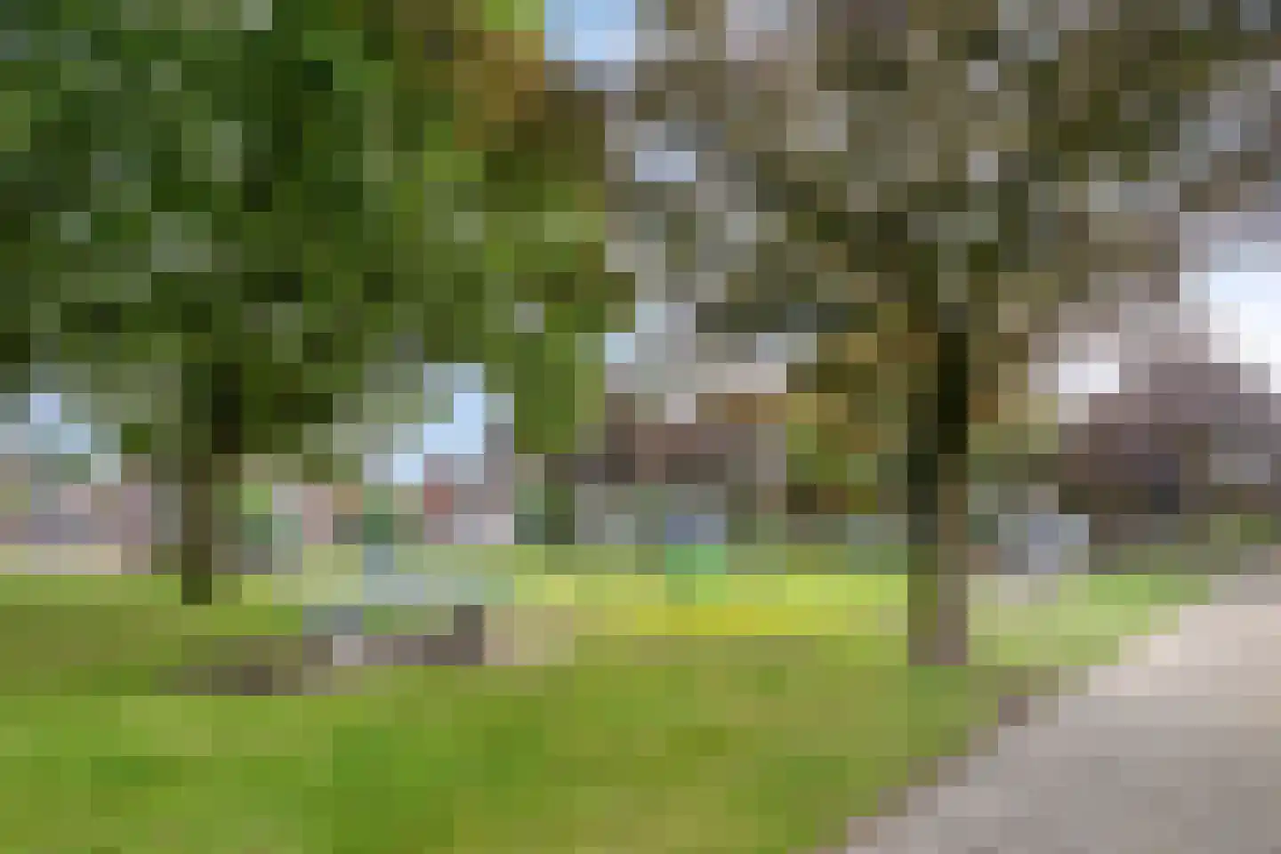 Wittemstraat 14 Wouw thumbnail 34