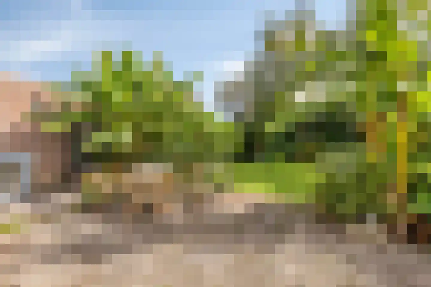 Wittemstraat 14 Wouw thumbnail 4