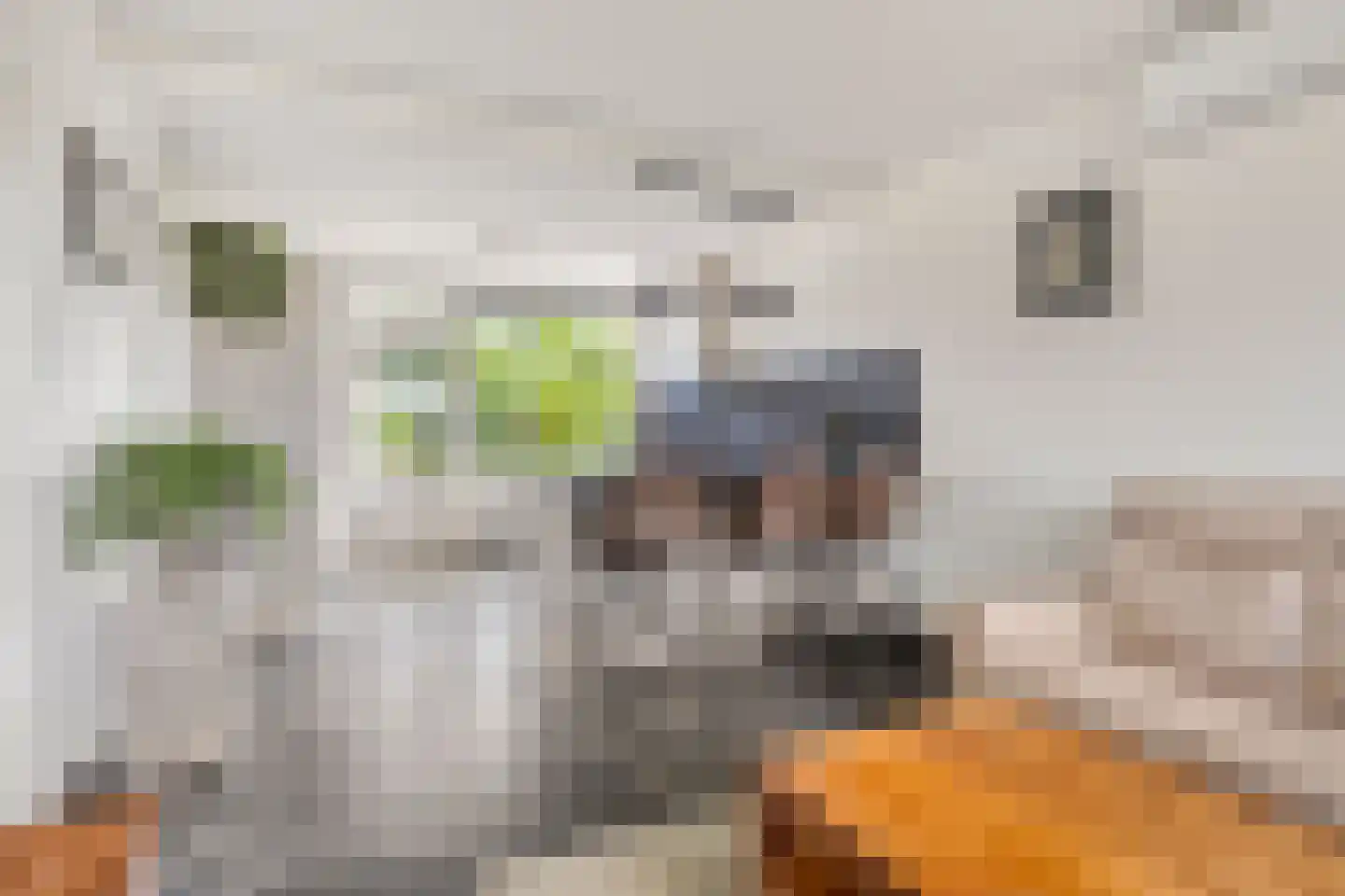 Wittemstraat 14 Wouw thumbnail 5