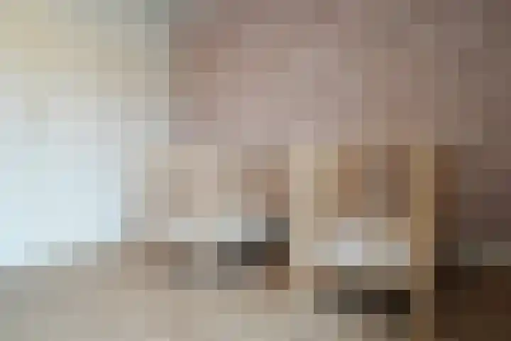 Wittemstraat 16 Tilburg thumbnail 35