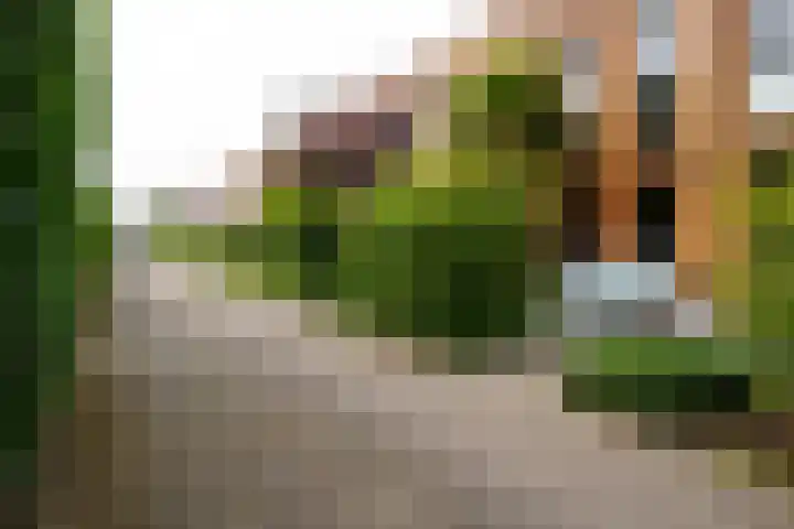 Wittemstraat 16 Tilburg thumbnail 58