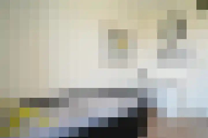 Wittemstraat 24 Tilburg thumbnail 33