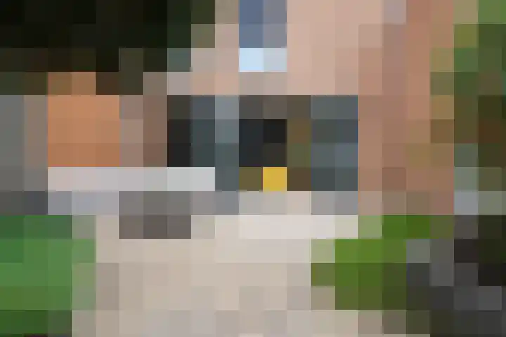 Wittemstraat 6 Tilburg thumbnail 22
