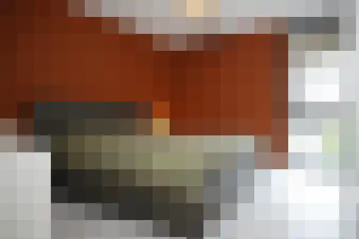 Wittemstraat 6 Tilburg thumbnail 25