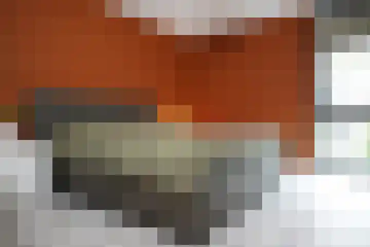 Wittemstraat 6 Tilburg thumbnail 27