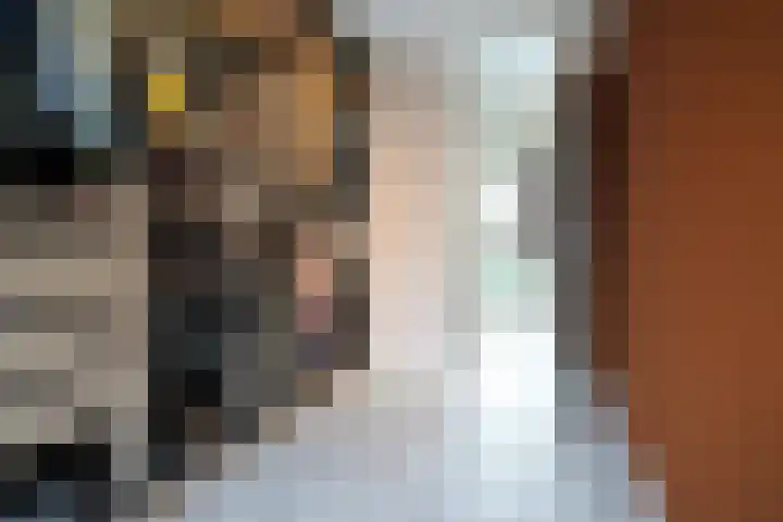 Wittemstraat 6 Tilburg thumbnail 37