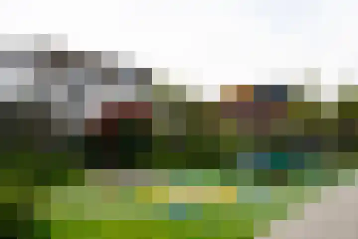 Wittemstraat 6 Tilburg thumbnail 67