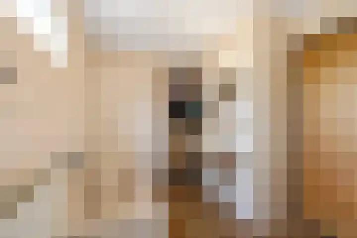 Wittenbergsweg 3 Wesepe thumbnail 17