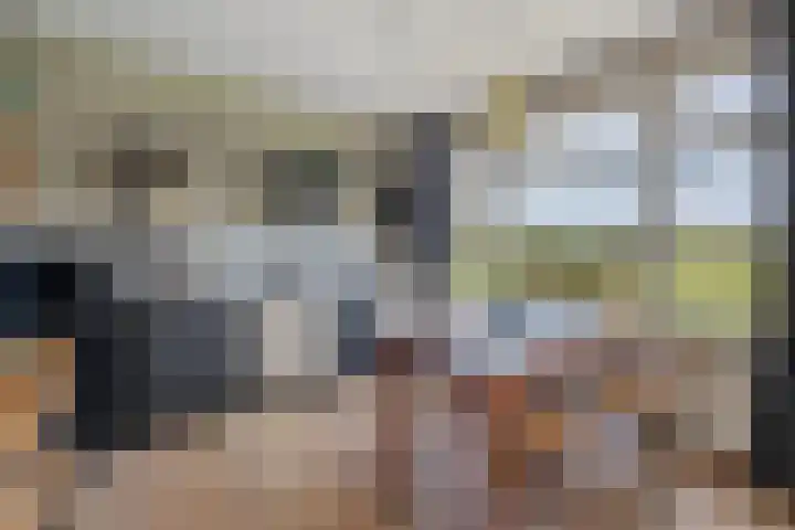 Wittenbergsweg 3 Wesepe thumbnail 24