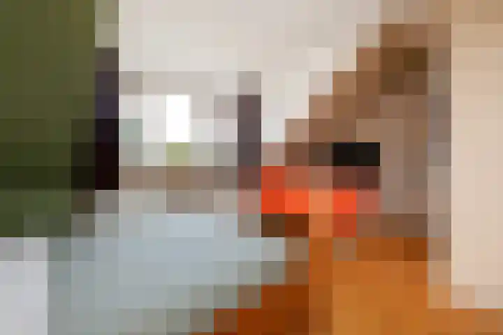 Wittenbergsweg 3 Wesepe thumbnail 38