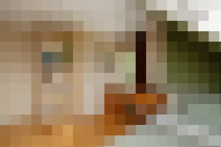 Wittenbergsweg 3 Wesepe thumbnail 39