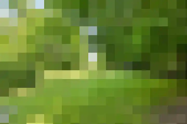 Wittenbergsweg 3 Wesepe thumbnail 4