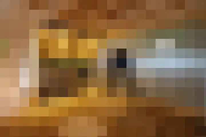 Wittenbergsweg 3 Wesepe thumbnail 43