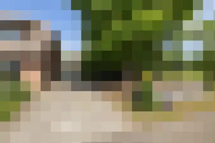 Wittenbergsweg 3 Wesepe thumbnail 45