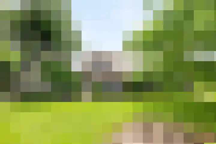 Wittenbergsweg 3 Wesepe thumbnail 48
