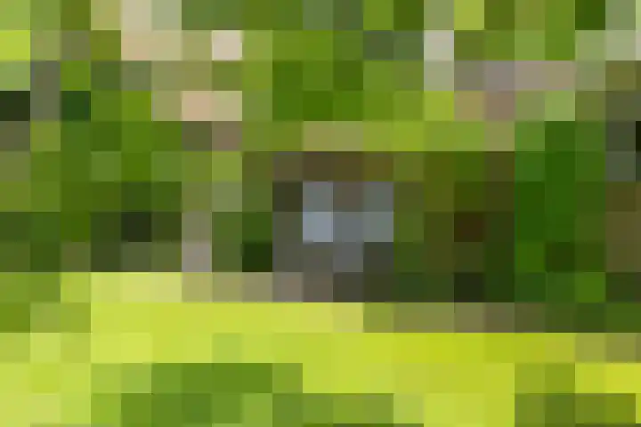 Wittenbergsweg 3 Wesepe thumbnail 49