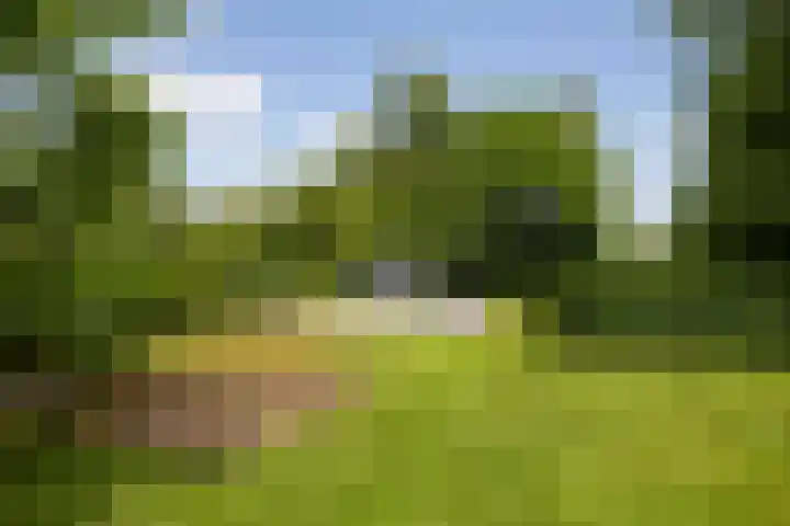 Wittenbergsweg 3 Wesepe thumbnail 5