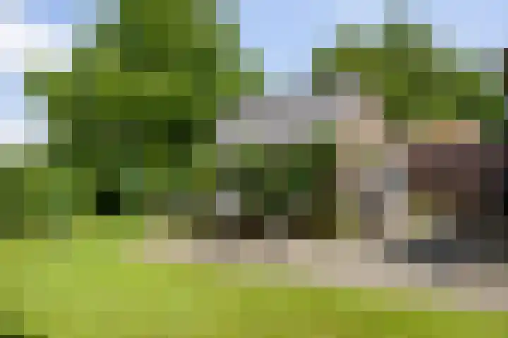 Wittenbergsweg 3 Wesepe thumbnail 50