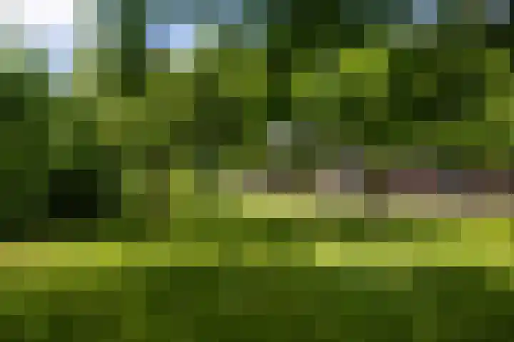 Wittenbergsweg 3 Wesepe thumbnail 52