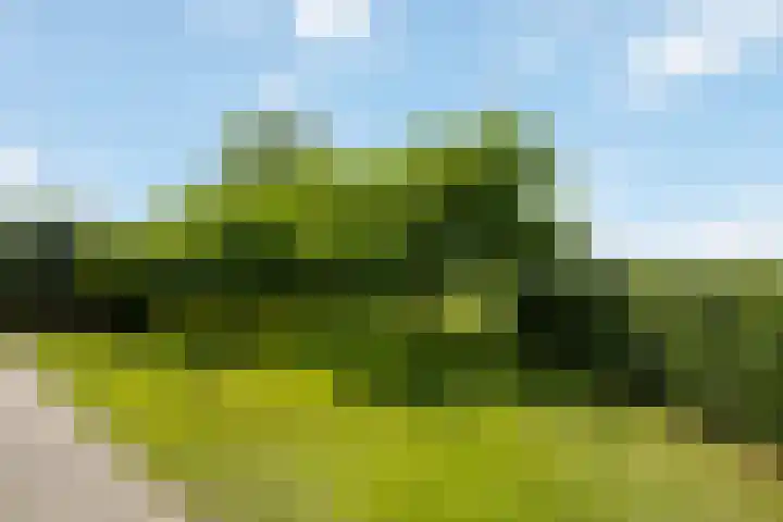 Wittenbergsweg 3 Wesepe thumbnail 53