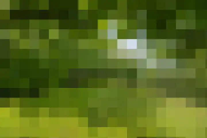Wittenbergsweg 3 Wesepe thumbnail 54