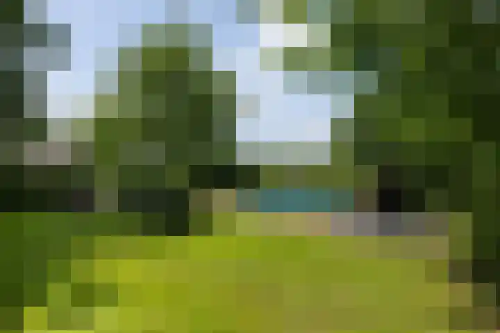 Wittenbergsweg 3 Wesepe thumbnail 57