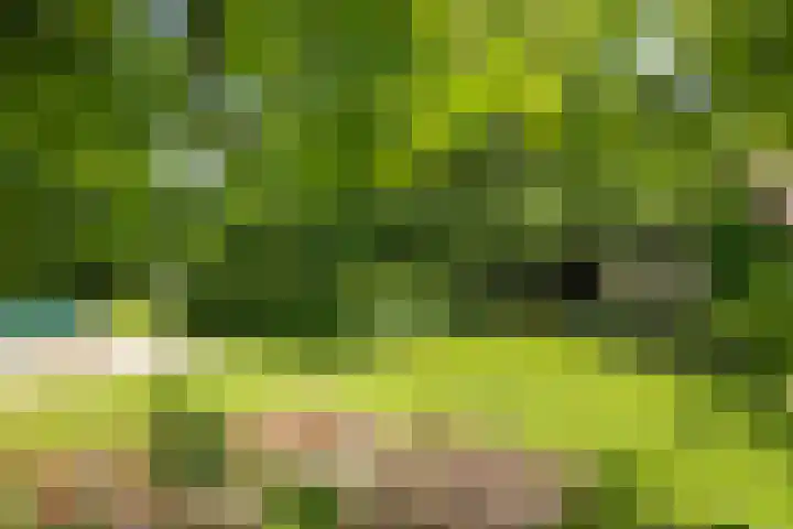 Wittenbergsweg 3 Wesepe thumbnail 58