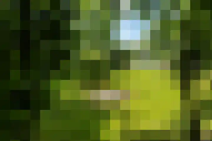 Wittenbergsweg 3 Wesepe thumbnail 59