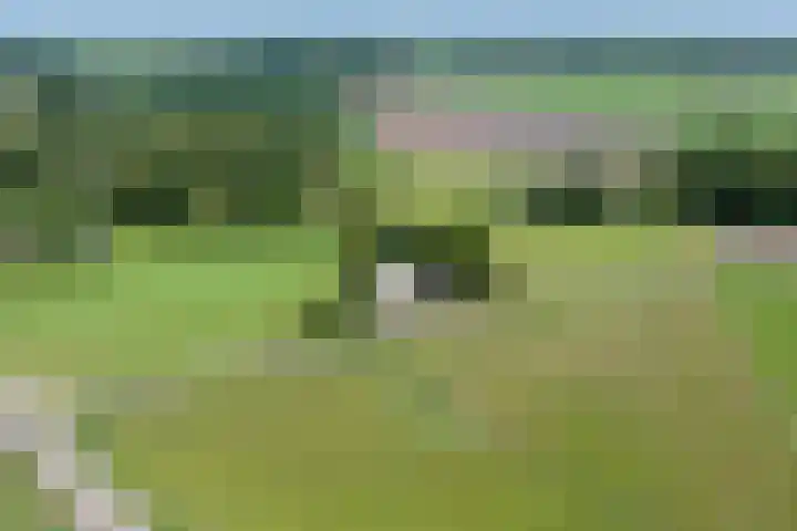 Wittenbergsweg 3 Wesepe thumbnail 6