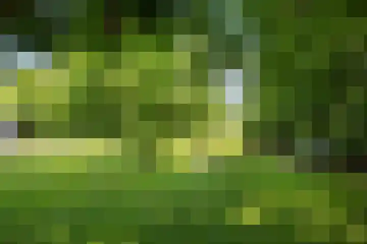 Wittenbergsweg 3 Wesepe thumbnail 60