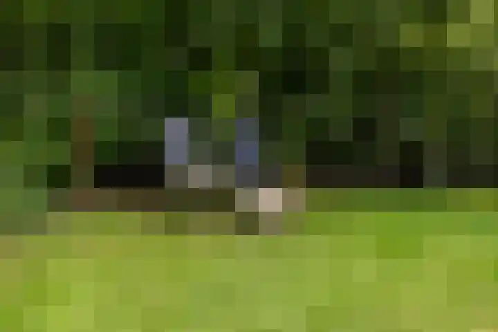 Wittenbergsweg 3 Wesepe thumbnail 61