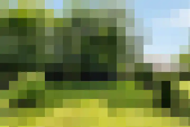 Wittenbergsweg 3 Wesepe thumbnail 62