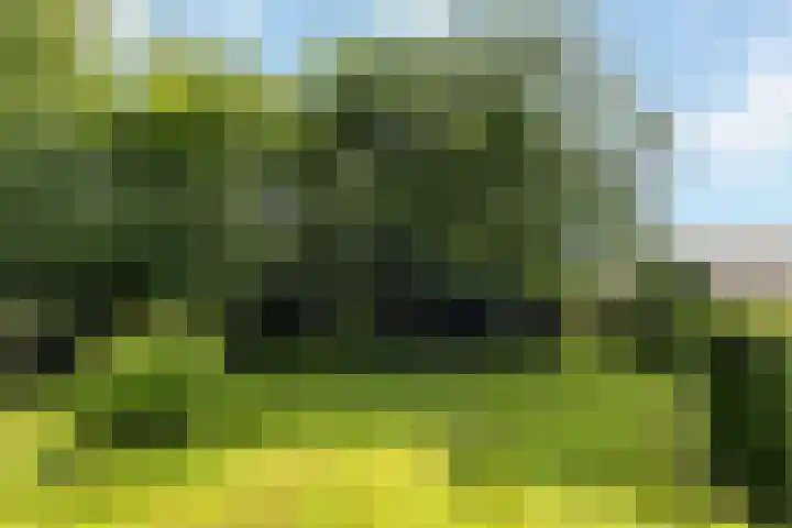 Wittenbergsweg 3 Wesepe thumbnail 63