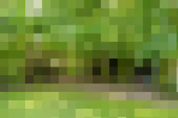 Wittenbergsweg 3 Wesepe thumbnail 64