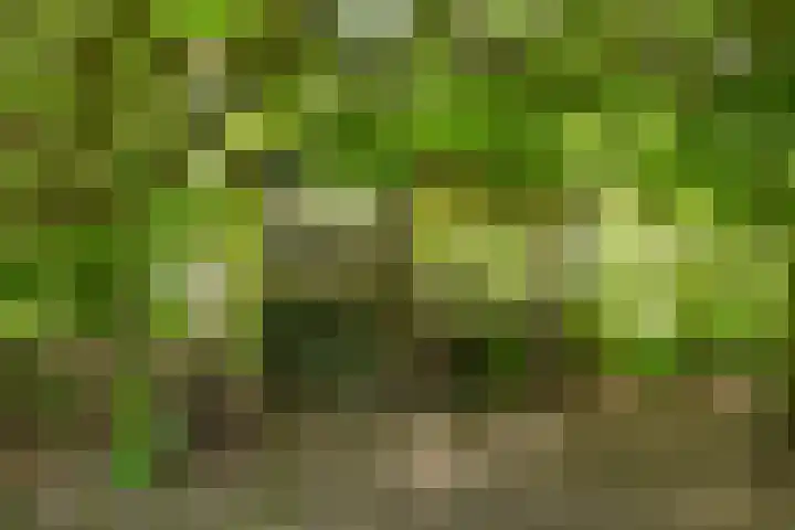 Wittenbergsweg 3 Wesepe thumbnail 65