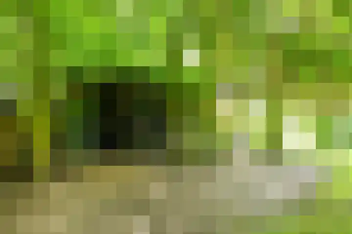 Wittenbergsweg 3 Wesepe thumbnail 66