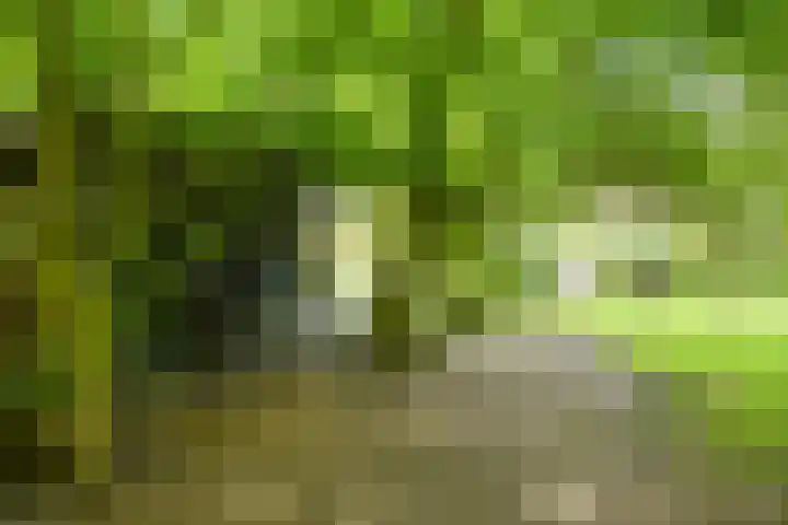 Wittenbergsweg 3 Wesepe thumbnail 67