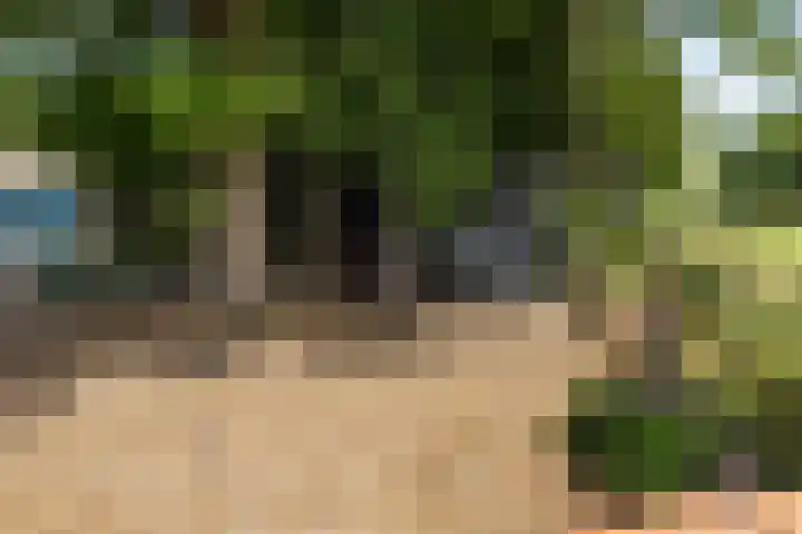Wittenbergsweg 3 Wesepe thumbnail 69