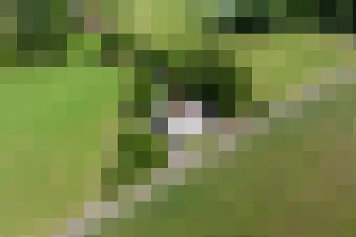 Wittenbergsweg 3 Wesepe thumbnail 7