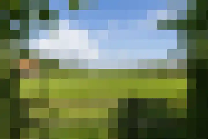 Wittenbergsweg 3 Wesepe thumbnail 70