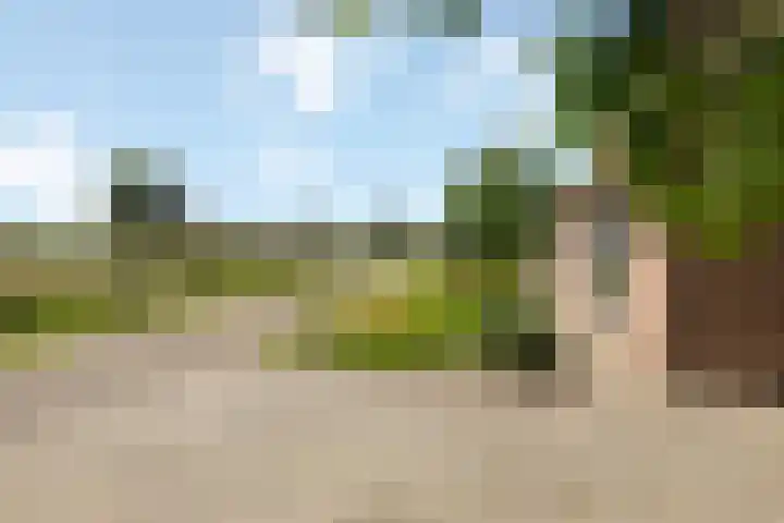 Wittenbergsweg 3 Wesepe thumbnail 71