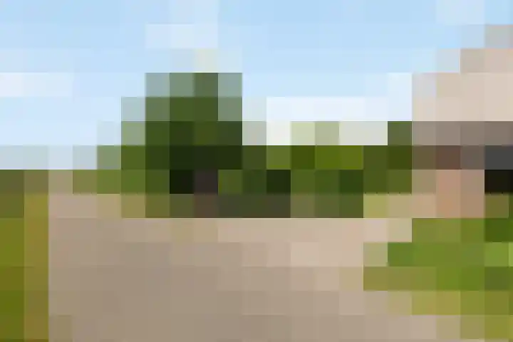 Wittenbergsweg 3 Wesepe thumbnail 72