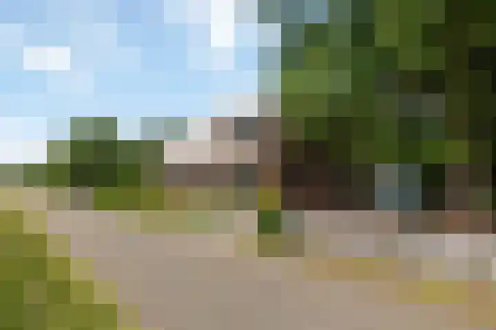 Wittenbergsweg 3 Wesepe thumbnail 73